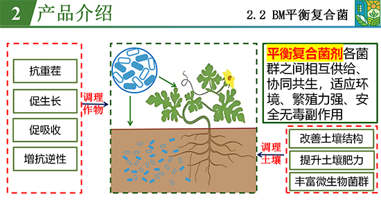 菌吾l研农业_13.jpg