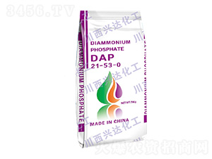 @DAP21-53-0-d_(d)