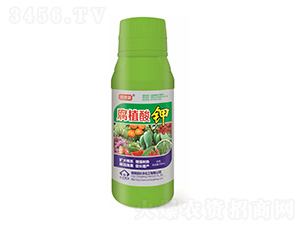 500mlֲ-G-L(zhng)S